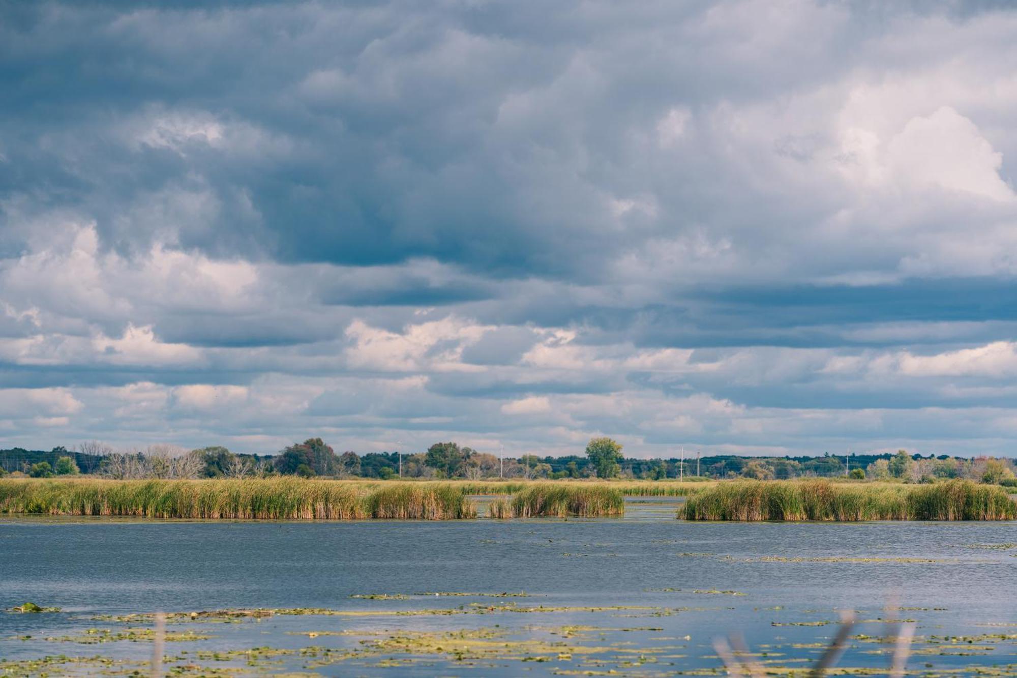 Weathervane Inn Montague Екстер'єр фото